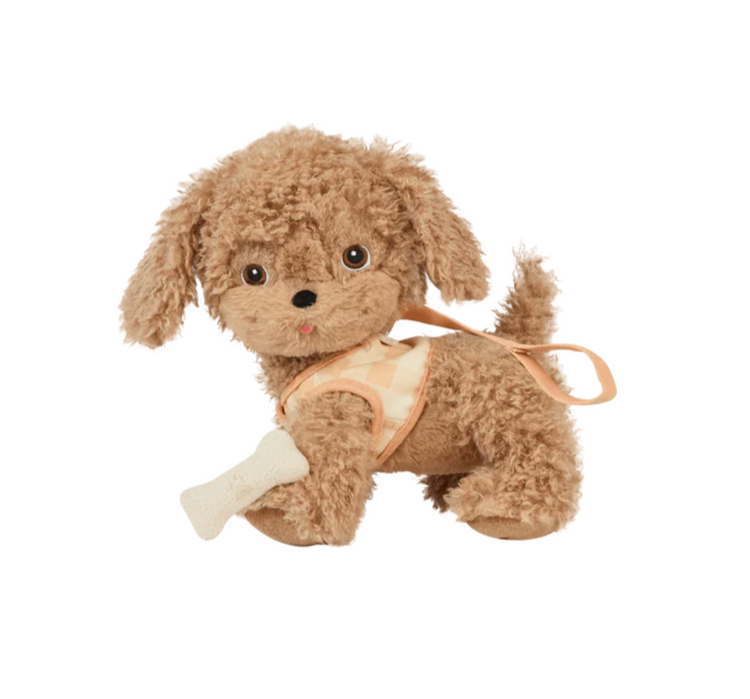 Dinkum Dogs | Goldie | Gold