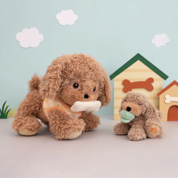 Dinkum Dogs | Goldie | Gold