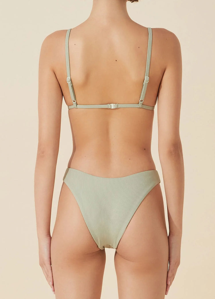 Moss Rib Curve Brief