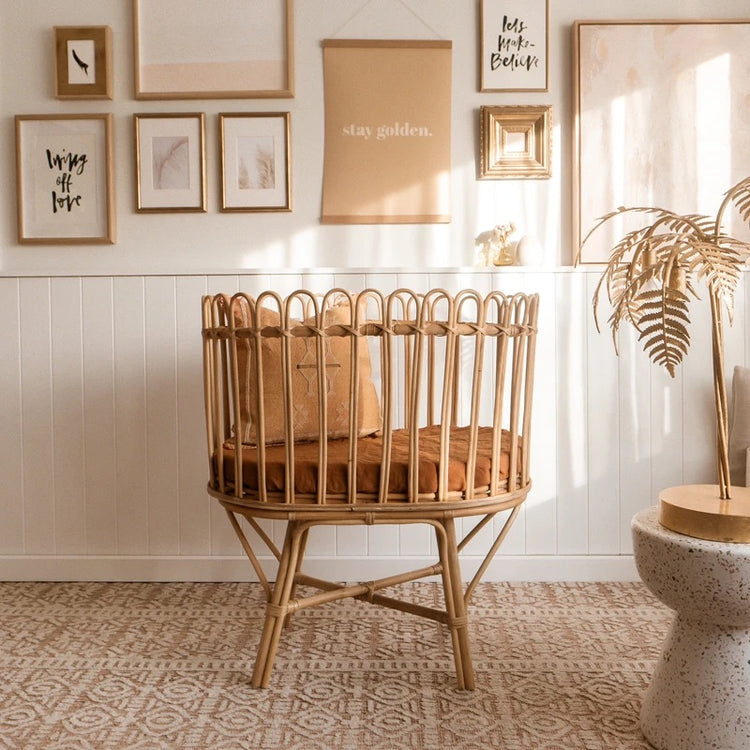 Bailey Cane Bassinet pick up instore