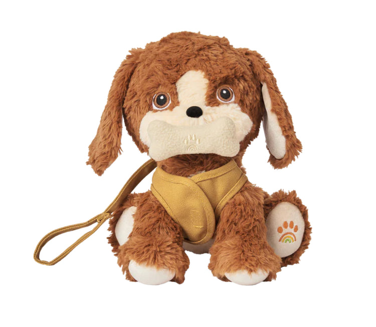 Dinkum Dogs | Buddy