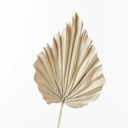 Palm Fan Spear | Natural