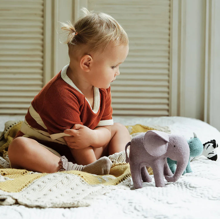 Holdie Folk Set | Safari Animals