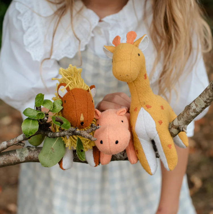 Holdie Folk Set | Savannah Animals