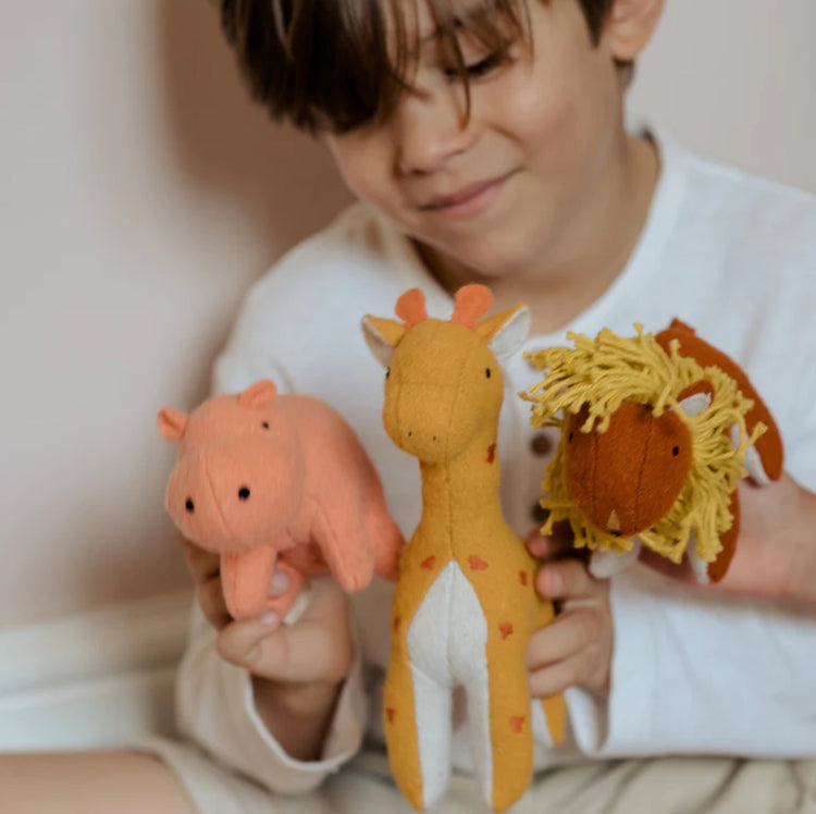 Holdie Folk Set | Savannah Animals