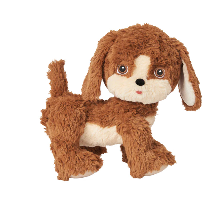Dinkum Dogs | Buddy