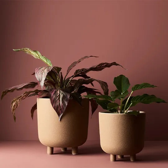 Pot Julitta | Clay 23cmh x 21.5cmd