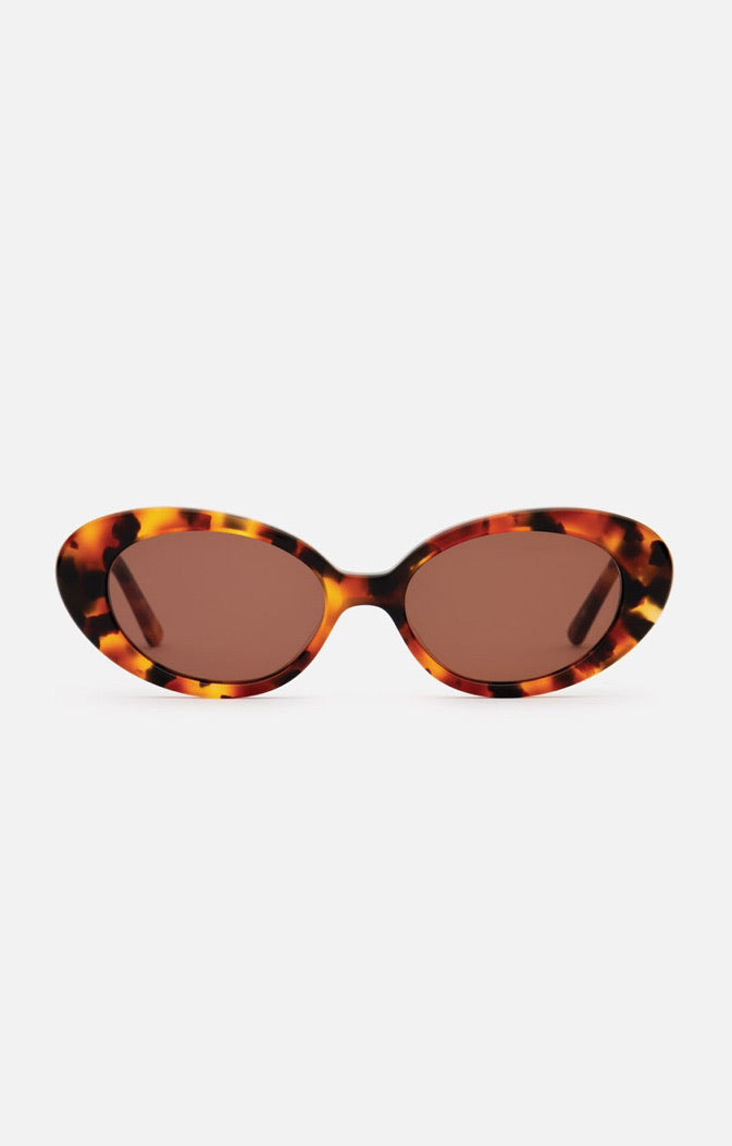 JEANNE Tortoise | Lu Goldie