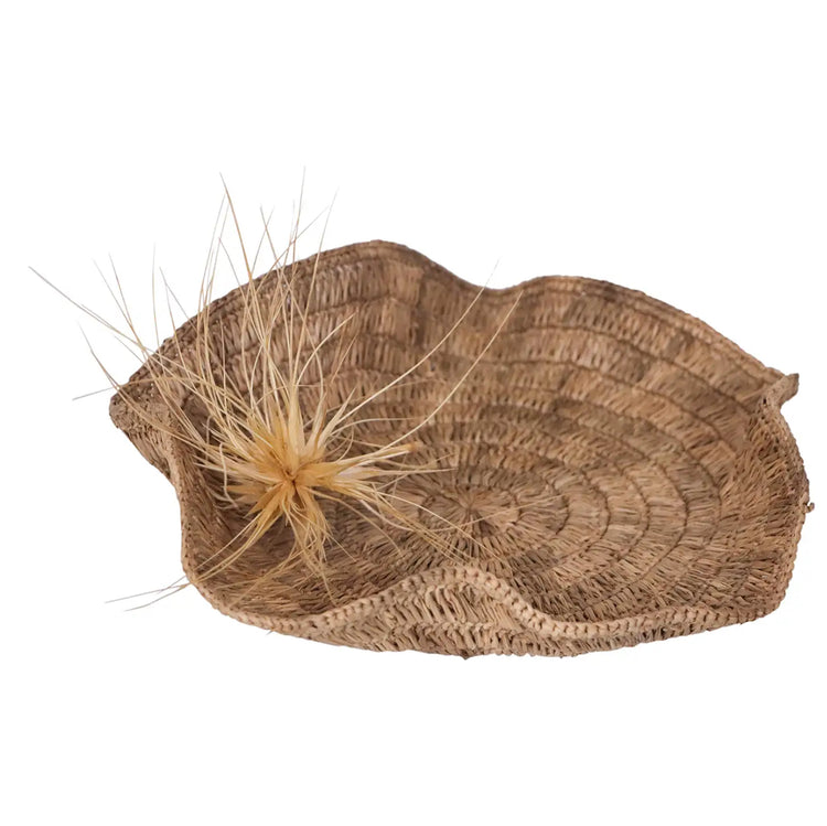 Fruit Basket M DB | Tea