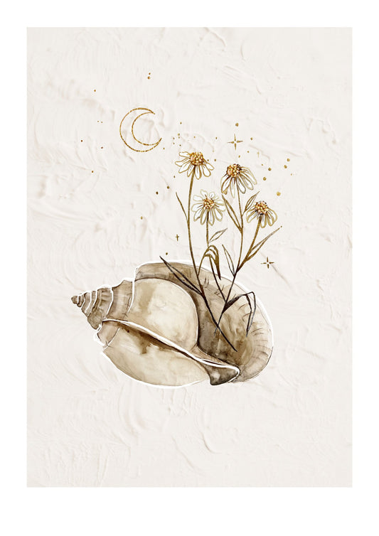 Sea Shells & Stars