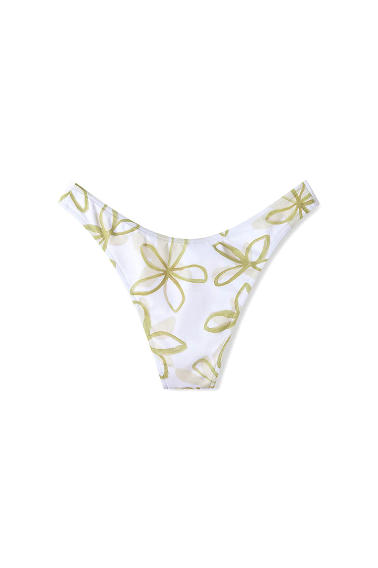 Olive Flower Curve Brief